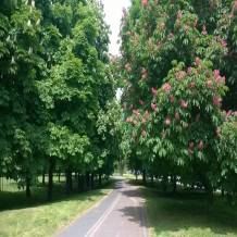 Milano'da Bahar